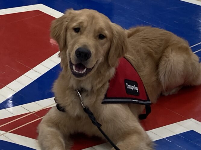 Therapy Dog ‘Parker’ Introduced at Wheeling Park High School